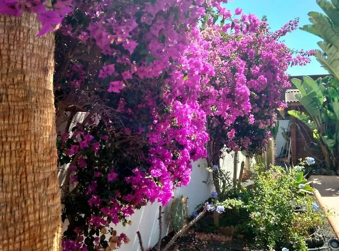 Vila Rosa Meravigliosa Con Piscina Interna Corralejo