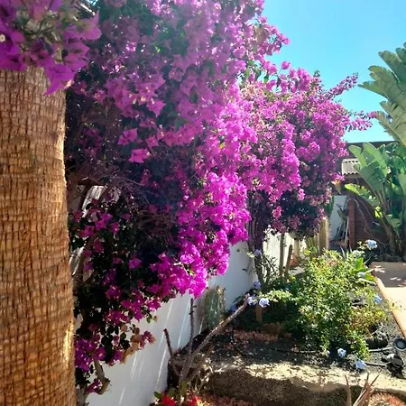 Villa Rosa Meravigliosa Con Piscina Interna Corralejo
