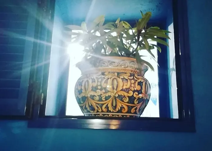 Rosa Meravigliosa Con Piscina Interna